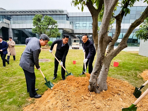 双方栽树.jpg 双方栽树.jpg