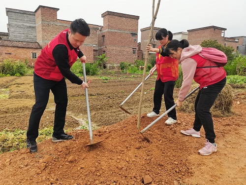 植树现场2.jpg 植树现场2.jpg