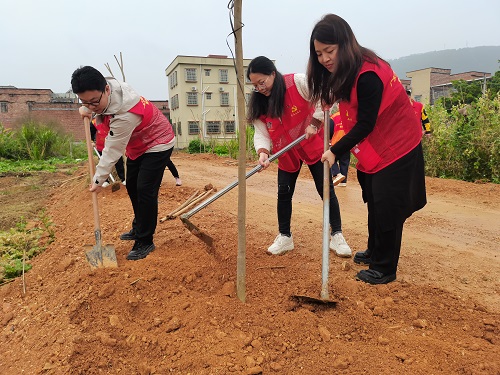 植树现场1.jpg 植树现场1.jpg