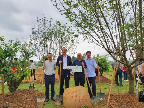 在大南山森林公园植树.jpg 在大南山森林公园植树.jpg